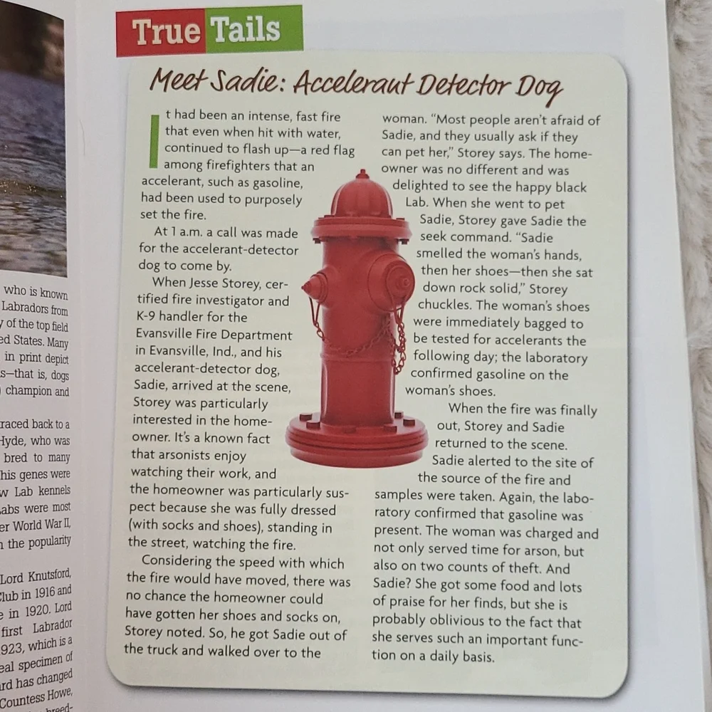 Labrador Retriever book from Dog Fancy magazine